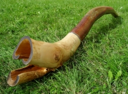 E-SHOP - Galerie prodaných  | Bříza had 773