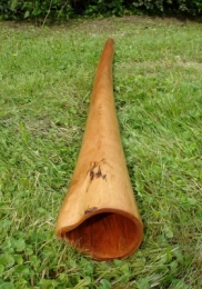 Eukalypt Stringybark 
