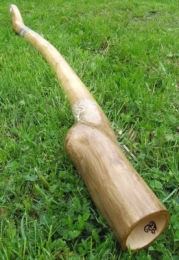 E-SHOP - Galerie prodaných  | Javor strom 658