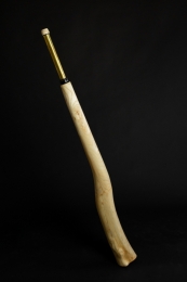 Koncertní teleskopické didgeridoo 2021