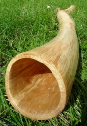E-SHOP - Galerie prodaných  | Ořech přírodní 261