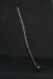Jilm šerosvit 2767